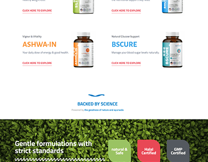 Food Supplements LLC Website
