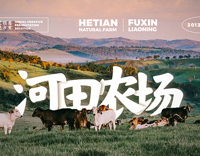 河田农场品牌设计方案-Hetian Natural Farm Branding Design