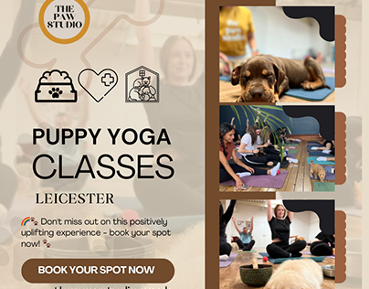Puppy Yoga classes in Ipswich | The Paw Studio