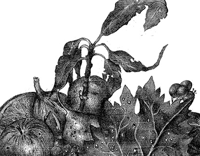 Etching inspired by Caravaggio's Basket of Fruit