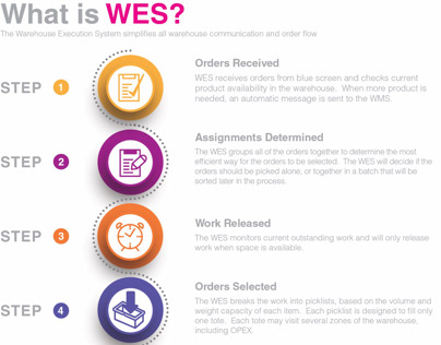 WES Process Infographic