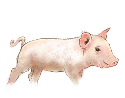 Piglet Illustrations