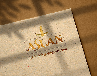 Project thumbnail - logo for Aslan Company
