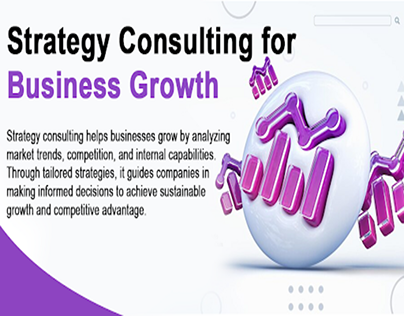 The Role of Strategy Consulting for Entrepreneurs