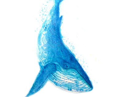 Humpback Whale painting