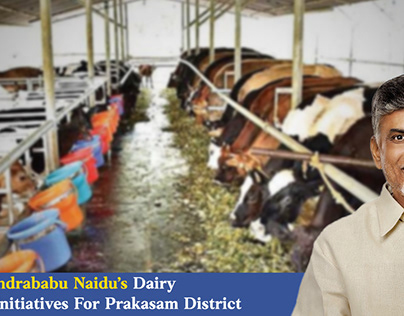 cbn Dairy Development Initiatives For Prakasam District