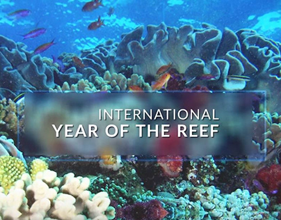 International Year of the Reef