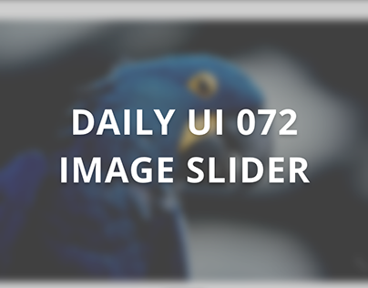 Daily UI 072 - Image Slider