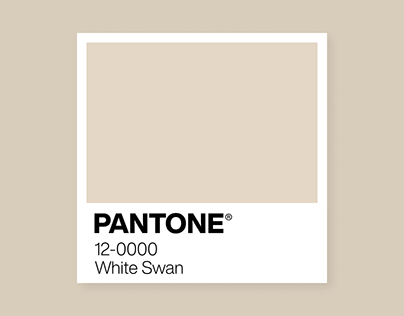 12-0000 White Swan