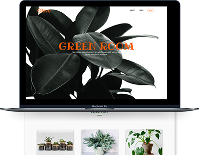 Website Design | Personal Blog & Shop