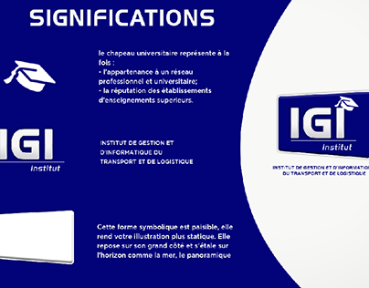 charte graphique IGI
