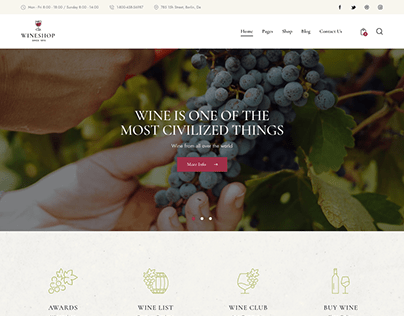 Food & Wine Online Delivery Store WordPress Theme