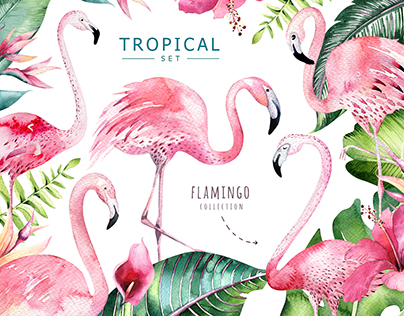 Tropical set II. Flamingo collection
