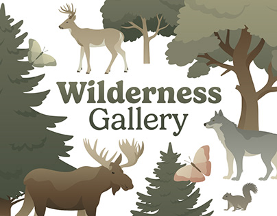 Vector illustrations and patterns of forest wildlife