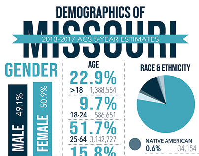 Missouri Equity infographic