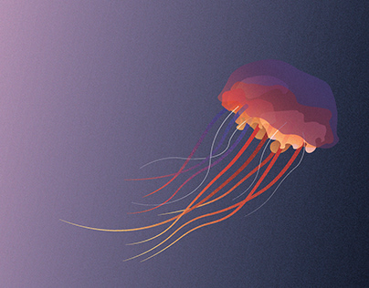 Sea creatures - illustrations
