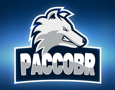 PaccoBR - YouTube and Streaming Channel