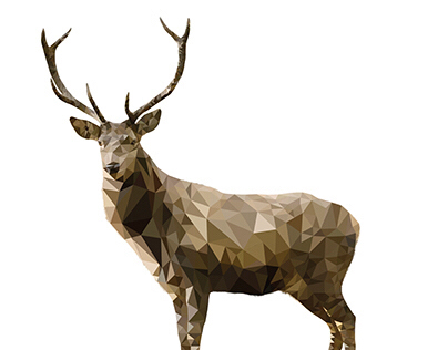 Deer illustration