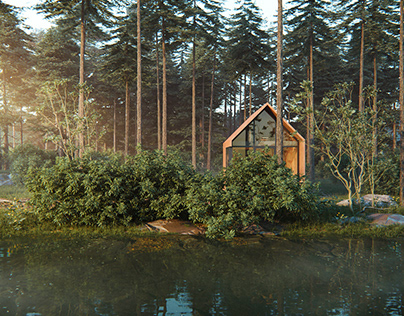 A House Among The Pines