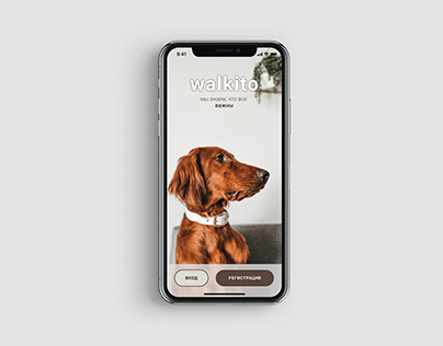 ui design for dogsitting walkito app