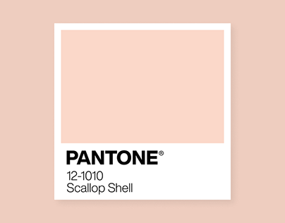 12-1010 Scallop Shell