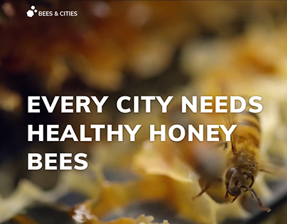 Bees & cities