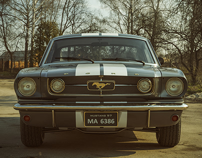 Mustang 57