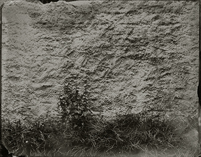 a landscape on the wall | wetplate