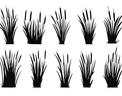 cattails Vector Silhouettes Collections