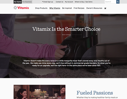Why Vitamix Section