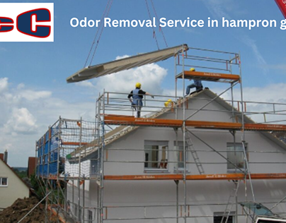 Odor Removal Service in Hampron ga