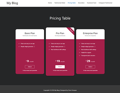 Pricing Table Design for Website