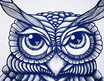 "Owl Drawing"
