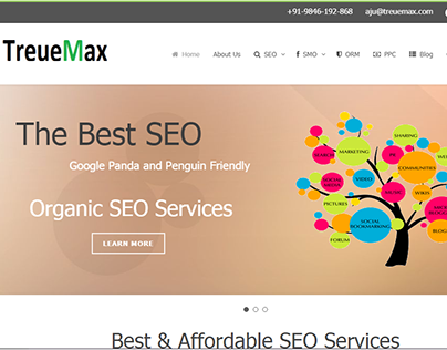 Treuemax Organic SEO Service Website