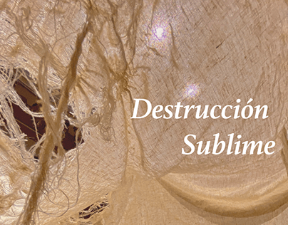DISO 3011 | Destrucción Sublime