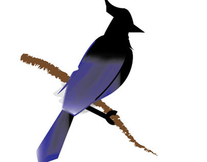 Bird 'Logo' Designs (3 images)