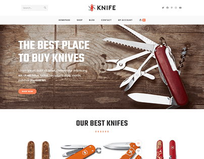 Knife store