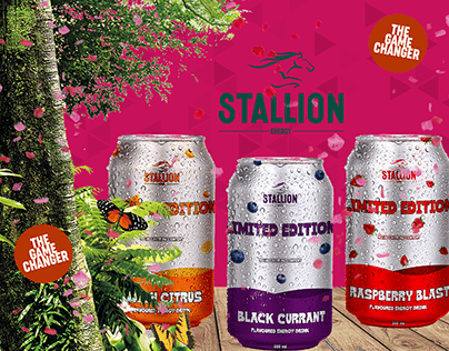 Stallion Energy Drink Branding and Package Design