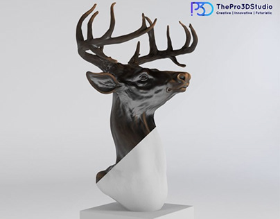 3D Sculpt Model