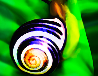 Art with a snail