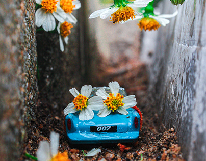Mini Cars | Miniature Photography