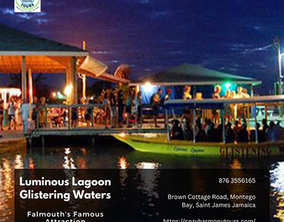 Luminous Lagoon Glistering Waters in Falmouth