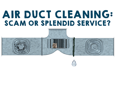 Air Duct Cleaning Infographic