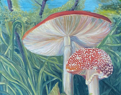 Mushroom Dreamscape
