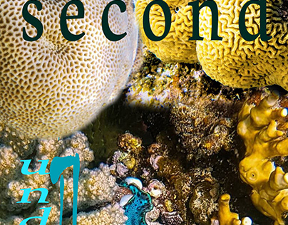 some shots for life marine corals mixed