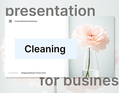 Presentation for a cleaning company