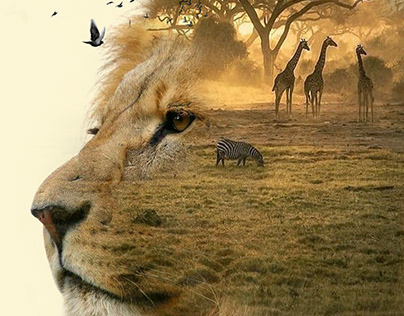 Africa savanna collage