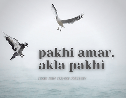 Pakhi Amar, Akla Pakhi