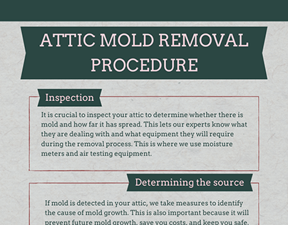 Attic Mold Removal Procedure