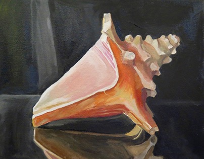 Conch Shell in Oil